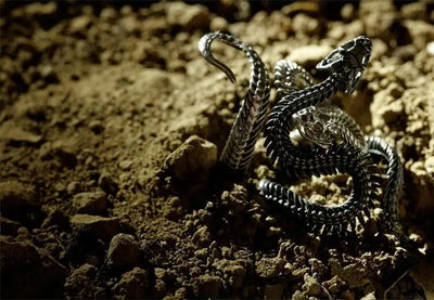 Zephyr Cobra Snake Ring