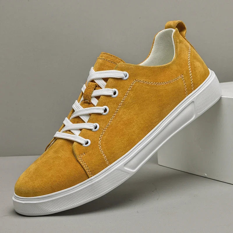 Liam Suede Walking Shoes